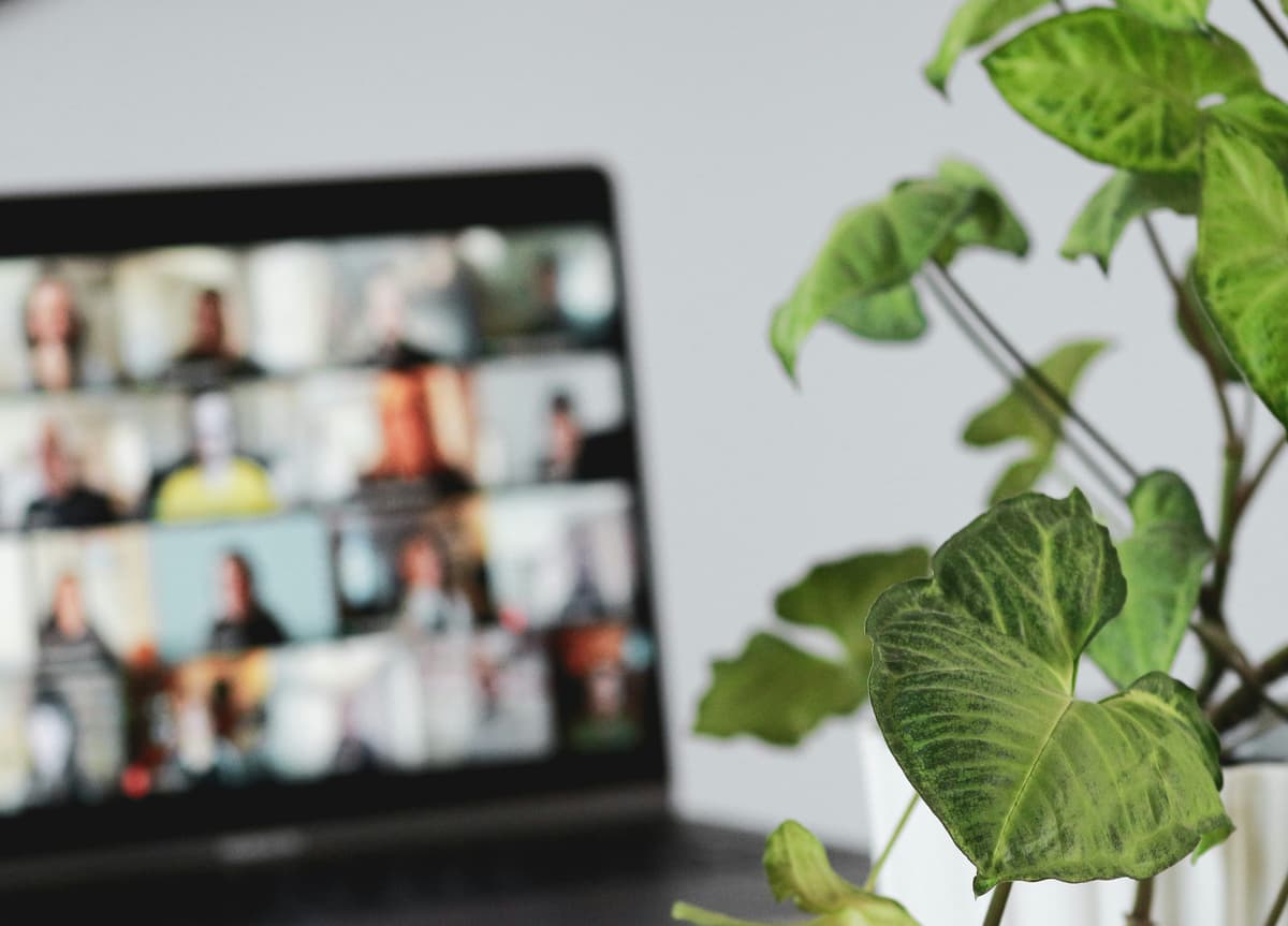 A telehealth therapy session shown on a laptop.